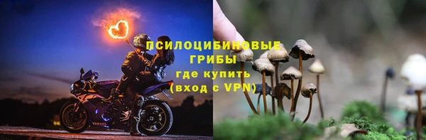 эйфоретик Алексин