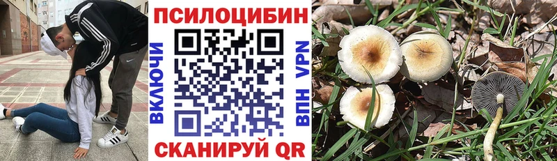 Псилоцибиновые грибы Psilocybine cubensis  сколько стоит  omg ссылки  Карабаш 